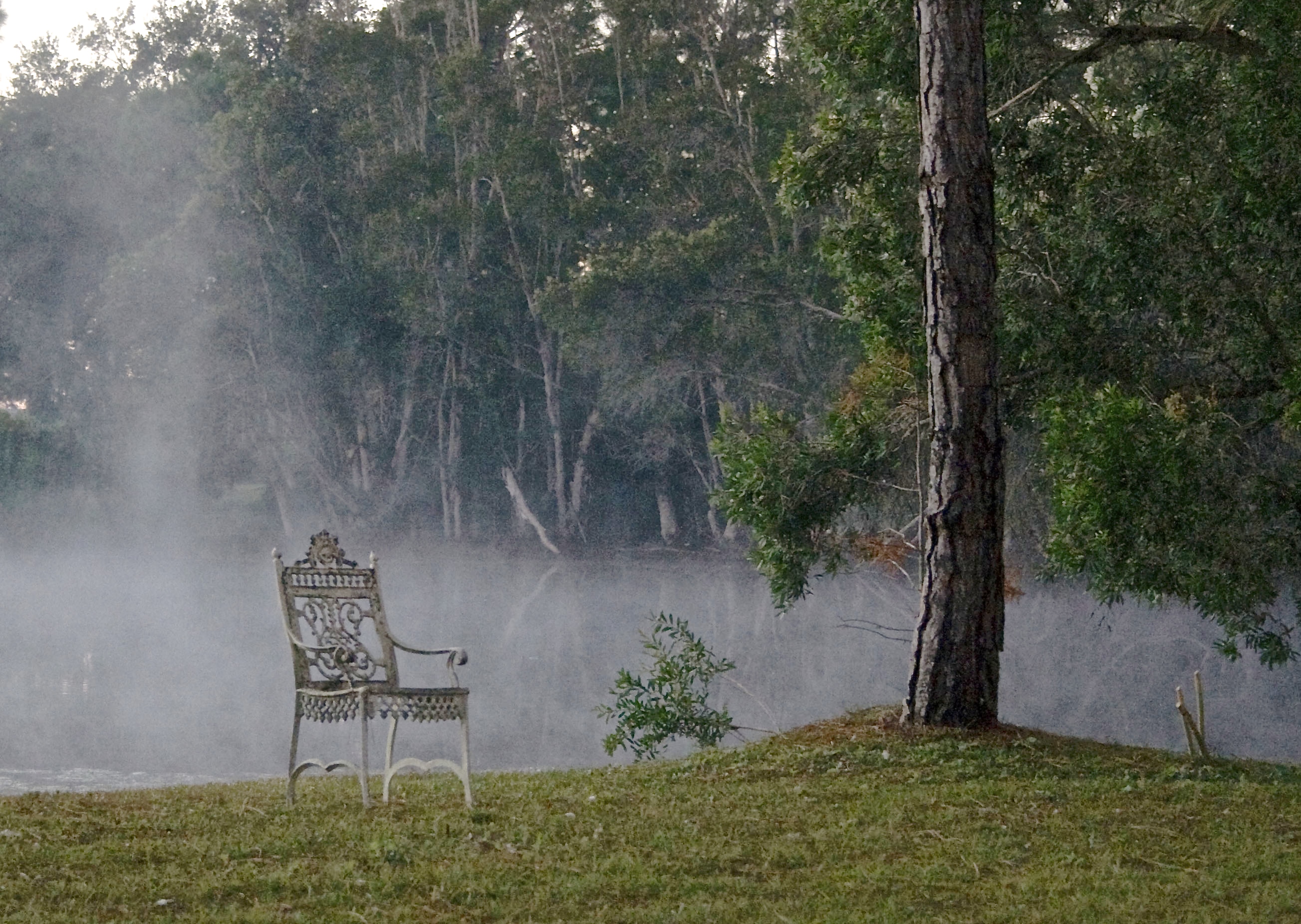 Spooky Backyard | Shutterbug